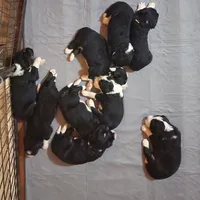 processed/3333d352-f0b0-46cc-b2a9-aa229d69a9e6/facility/9bd84884-f540-4ae5-b00e-1052850d7a8a