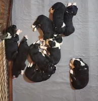 processed/3333d352-f0b0-46cc-b2a9-aa229d69a9e6/facility/9bd84884-f540-4ae5-b00e-1052850d7a8a