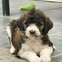 processed/3333d352-f0b0-46cc-b2a9-aa229d69a9e6/facility/ac14d83a-59e3-4219-8869-6d072e2f5ca2