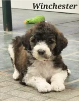 processed/3333d352-f0b0-46cc-b2a9-aa229d69a9e6/facility/ac14d83a-59e3-4219-8869-6d072e2f5ca2