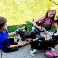 processed/3333d352-f0b0-46cc-b2a9-aa229d69a9e6/facility/b566dbb2-130e-4e97-ae6a-f0ab9ae5f540