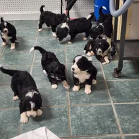 processed/3333d352-f0b0-46cc-b2a9-aa229d69a9e6/facility/beccaac3-f330-49c1-9694-74aad7cb1bcb