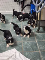 processed/3333d352-f0b0-46cc-b2a9-aa229d69a9e6/facility/beccaac3-f330-49c1-9694-74aad7cb1bcb