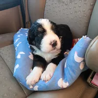 processed/3333d352-f0b0-46cc-b2a9-aa229d69a9e6/facility/da2bbe76-c9b2-4d9f-a290-1affa5cc9514