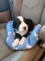 processed/3333d352-f0b0-46cc-b2a9-aa229d69a9e6/facility/da2bbe76-c9b2-4d9f-a290-1affa5cc9514