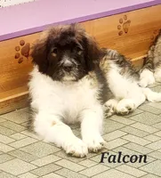 processed/3333d352-f0b0-46cc-b2a9-aa229d69a9e6/listing/20389ede-fe29-4bc6-a1ce-53b12df9277e/120a67ac-1269-4d1b-954d-f4f2bad206a4