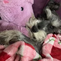 processed/33458c17-7ffd-40c2-a7ef-002c2419960c/facility/17dd16b8-e98d-4e0e-a25f-37585d5cce64