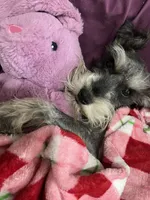 processed/33458c17-7ffd-40c2-a7ef-002c2419960c/facility/17dd16b8-e98d-4e0e-a25f-37585d5cce64