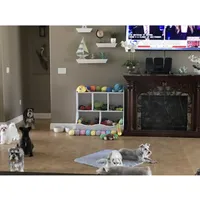 processed/33458c17-7ffd-40c2-a7ef-002c2419960c/facility/719b113e-aab4-4032-ac31-f2f9d8a33f41