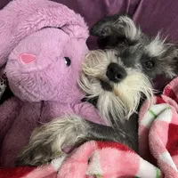 processed/33458c17-7ffd-40c2-a7ef-002c2419960c/facility/73240b87-09ce-4ad7-acd3-7960a71dd5bd