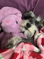 processed/33458c17-7ffd-40c2-a7ef-002c2419960c/facility/73240b87-09ce-4ad7-acd3-7960a71dd5bd