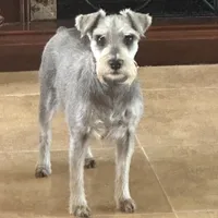 processed/33458c17-7ffd-40c2-a7ef-002c2419960c/facility/d667df86-63b8-464e-874e-a2cb8108cc13