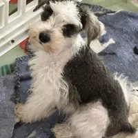 processed/33458c17-7ffd-40c2-a7ef-002c2419960c/facility/f23fcb80-6545-4f12-81d7-44d27295017b