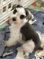 processed/33458c17-7ffd-40c2-a7ef-002c2419960c/facility/f23fcb80-6545-4f12-81d7-44d27295017b