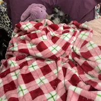 processed/33458c17-7ffd-40c2-a7ef-002c2419960c/facility/fb310bfa-7310-4fdb-9a07-69a064cfe9ba