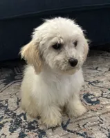 processed/334a0fd4-288b-43f7-b594-bb81d243c80f/listing/e9f9dd0a-60bc-40fc-9425-f56f910d6dfa/57f654a6-45e1-419f-8339-871d2f4d57f9