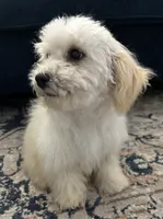 processed/334a0fd4-288b-43f7-b594-bb81d243c80f/listing/e9f9dd0a-60bc-40fc-9425-f56f910d6dfa/f677e2c2-d099-4911-82b5-5d4184237735