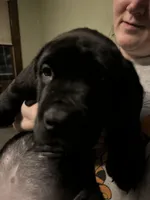 processed/334a122f-3c03-4fe0-af2e-f3702968370e/listing/6c58edcc-cf24-4fcb-a691-2fb58c6b325f/1de24455-fe5e-415e-862e-7fbdbd675b34