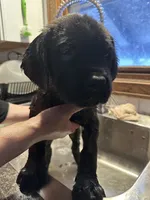 processed/334a122f-3c03-4fe0-af2e-f3702968370e/listing/6c58edcc-cf24-4fcb-a691-2fb58c6b325f/42f3f904-080a-4dd8-9ae9-9adef60458eb