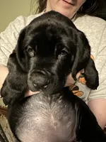 processed/334a122f-3c03-4fe0-af2e-f3702968370e/listing/6c58edcc-cf24-4fcb-a691-2fb58c6b325f/8129cc6f-a31f-469f-82d8-cb992debe127