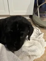 processed/334a122f-3c03-4fe0-af2e-f3702968370e/listing/6c58edcc-cf24-4fcb-a691-2fb58c6b325f/be9923cb-5762-46fe-96fd-ba7bdff4e905