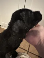 processed/334a122f-3c03-4fe0-af2e-f3702968370e/listing/6c58edcc-cf24-4fcb-a691-2fb58c6b325f/f9632e95-4de8-4640-a76a-8801327cd415