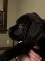 processed/334a122f-3c03-4fe0-af2e-f3702968370e/listing/babea738-4ab5-44d2-94c5-6af40169f2e6/0d0abf7b-f4cd-42d1-9370-dbf664e2a90c