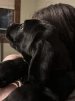 processed/334a122f-3c03-4fe0-af2e-f3702968370e/listing/babea738-4ab5-44d2-94c5-6af40169f2e6/24d0a2d8-288a-4238-bff6-b4a30e762b09