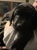 processed/334a122f-3c03-4fe0-af2e-f3702968370e/listing/babea738-4ab5-44d2-94c5-6af40169f2e6/6cbfe97c-c795-4788-a150-dab63aca0094