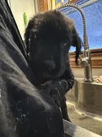 processed/334a122f-3c03-4fe0-af2e-f3702968370e/listing/babea738-4ab5-44d2-94c5-6af40169f2e6/7df5be71-176d-4a7f-a089-03e7da2dfab1