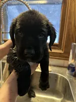 processed/334a122f-3c03-4fe0-af2e-f3702968370e/listing/babea738-4ab5-44d2-94c5-6af40169f2e6/86f5a338-446e-4b6f-a5ae-619c8e07c0ec