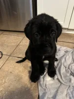 processed/334a122f-3c03-4fe0-af2e-f3702968370e/listing/babea738-4ab5-44d2-94c5-6af40169f2e6/ca997bec-afdc-48a8-ada8-0ccfad8695cd