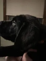 processed/334a122f-3c03-4fe0-af2e-f3702968370e/listing/babea738-4ab5-44d2-94c5-6af40169f2e6/eeb6b9ec-364c-4e46-b1b2-74f26facaa76