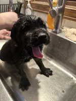 processed/334a122f-3c03-4fe0-af2e-f3702968370e/listing/c39bca69-f922-4efc-8652-9759b3b86a70/2a932746-cd4e-47c5-9aeb-4def8b01dcaa