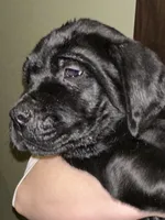 processed/334a122f-3c03-4fe0-af2e-f3702968370e/listing/c39bca69-f922-4efc-8652-9759b3b86a70/51deda40-0138-493f-ac8d-93325a8d56f0