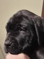 processed/334a122f-3c03-4fe0-af2e-f3702968370e/listing/c39bca69-f922-4efc-8652-9759b3b86a70/7add2dfa-bfba-49d0-b395-aa18eefde917