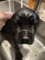 processed/334a122f-3c03-4fe0-af2e-f3702968370e/listing/c39bca69-f922-4efc-8652-9759b3b86a70/9b1c9867-d847-47dc-b44e-335be189cb57