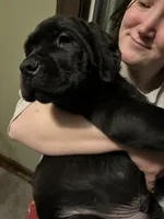 processed/334a122f-3c03-4fe0-af2e-f3702968370e/listing/c39bca69-f922-4efc-8652-9759b3b86a70/a5ac28de-22f3-4024-98d9-f21fc7991389