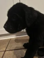 processed/334a122f-3c03-4fe0-af2e-f3702968370e/listing/c39bca69-f922-4efc-8652-9759b3b86a70/daa3d77a-0732-4e8c-8e31-ab297a54e442