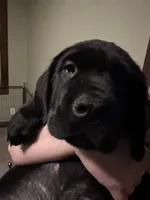 processed/334a122f-3c03-4fe0-af2e-f3702968370e/listing/c39bca69-f922-4efc-8652-9759b3b86a70/e07821dd-ea8e-4bba-b9f0-88e2763b72f7