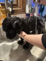 processed/334a122f-3c03-4fe0-af2e-f3702968370e/listing/e20bf08e-43fc-4ed9-80f9-214731716a04/444ff479-1185-4675-9dd6-788c97707ce0