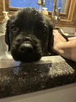 processed/334a122f-3c03-4fe0-af2e-f3702968370e/listing/e20bf08e-43fc-4ed9-80f9-214731716a04/4eca40dd-7a89-4bb3-b33b-ceacb56d047d