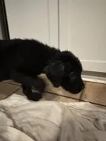 processed/334a122f-3c03-4fe0-af2e-f3702968370e/listing/e20bf08e-43fc-4ed9-80f9-214731716a04/51e3105d-7636-41c9-be06-bdbe790b6669