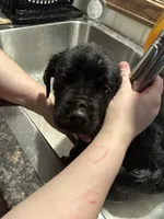 processed/334a122f-3c03-4fe0-af2e-f3702968370e/listing/e20bf08e-43fc-4ed9-80f9-214731716a04/533992c7-153d-47e2-9360-3a728422d975