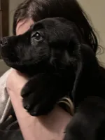 processed/334a122f-3c03-4fe0-af2e-f3702968370e/listing/e20bf08e-43fc-4ed9-80f9-214731716a04/9dcd36e7-5374-4a59-bb20-4fb3677503f7