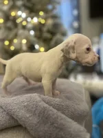 processed/334d8881-7c72-49aa-a344-56f147a14be6/listing/049091cf-b1f8-4e18-94db-0ecfb7beb6df/1225469b-8bbf-4002-86ab-765f7425ba6a