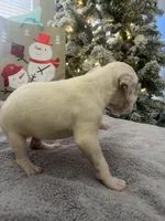 processed/334d8881-7c72-49aa-a344-56f147a14be6/listing/049091cf-b1f8-4e18-94db-0ecfb7beb6df/5a63f79a-15be-4171-8f98-c3ed33a9628c