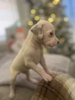 processed/334d8881-7c72-49aa-a344-56f147a14be6/listing/049091cf-b1f8-4e18-94db-0ecfb7beb6df/c866ad69-917c-4f91-aa93-d09d7cd77d76