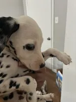 processed/334d8881-7c72-49aa-a344-56f147a14be6/listing/0b25f46a-e36c-447d-9ffb-b6d0b9a53d5c/73be5225-c8e5-40ec-b434-707380d73dc4