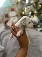 processed/334d8881-7c72-49aa-a344-56f147a14be6/listing/0b25f46a-e36c-447d-9ffb-b6d0b9a53d5c/de97a3ab-29e5-4f2e-b0ab-c33735ac7f2d